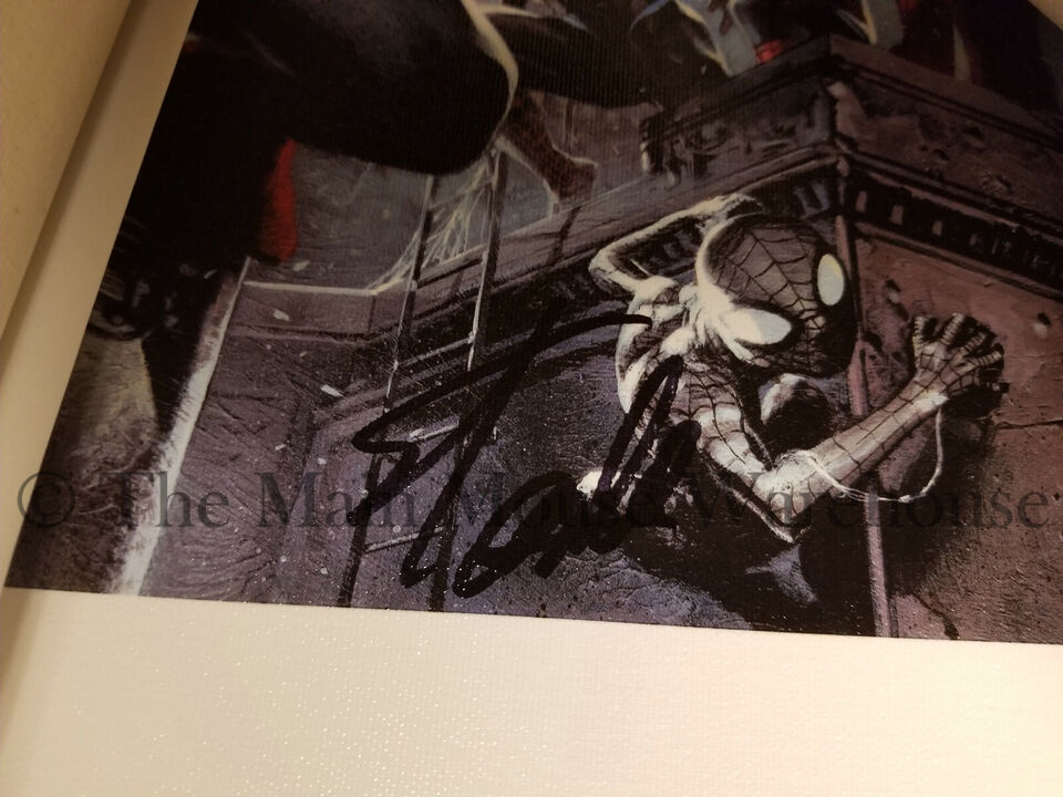 Marvel Spider-Man Into The Spider-Verse Spider Verse Canvas Art Signed Stan Lee